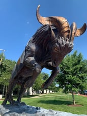 bill goat