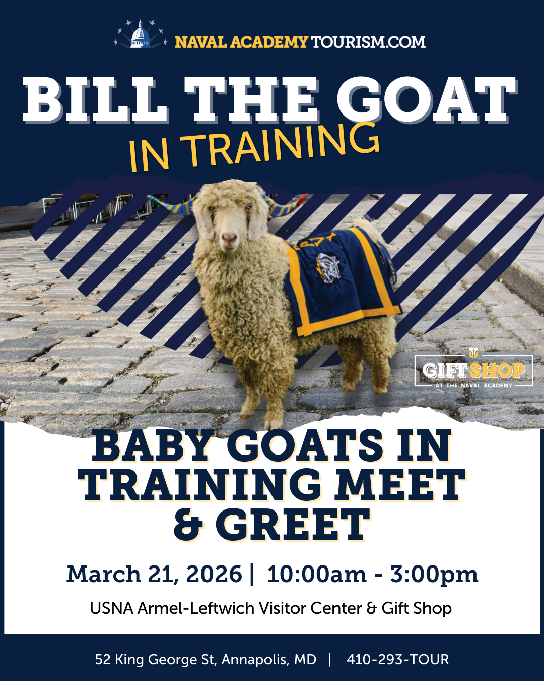 Bill the Goat in Training Baby Goats Meet & Greet